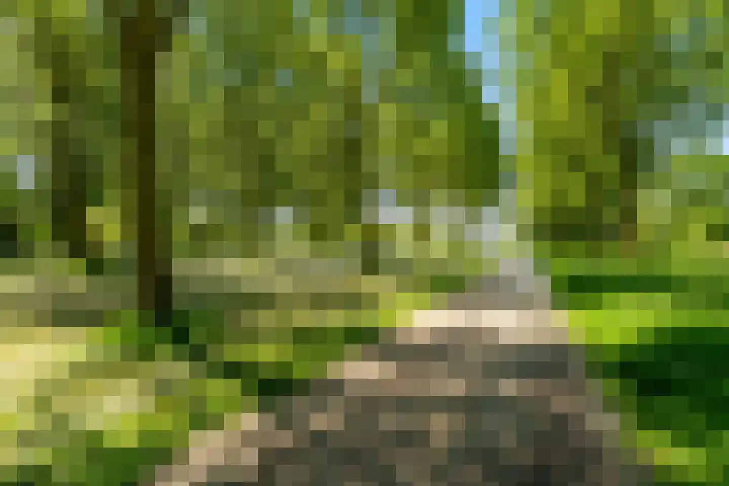 Daliënwaerd 103 's-Hertogenbosch thumbnail 55