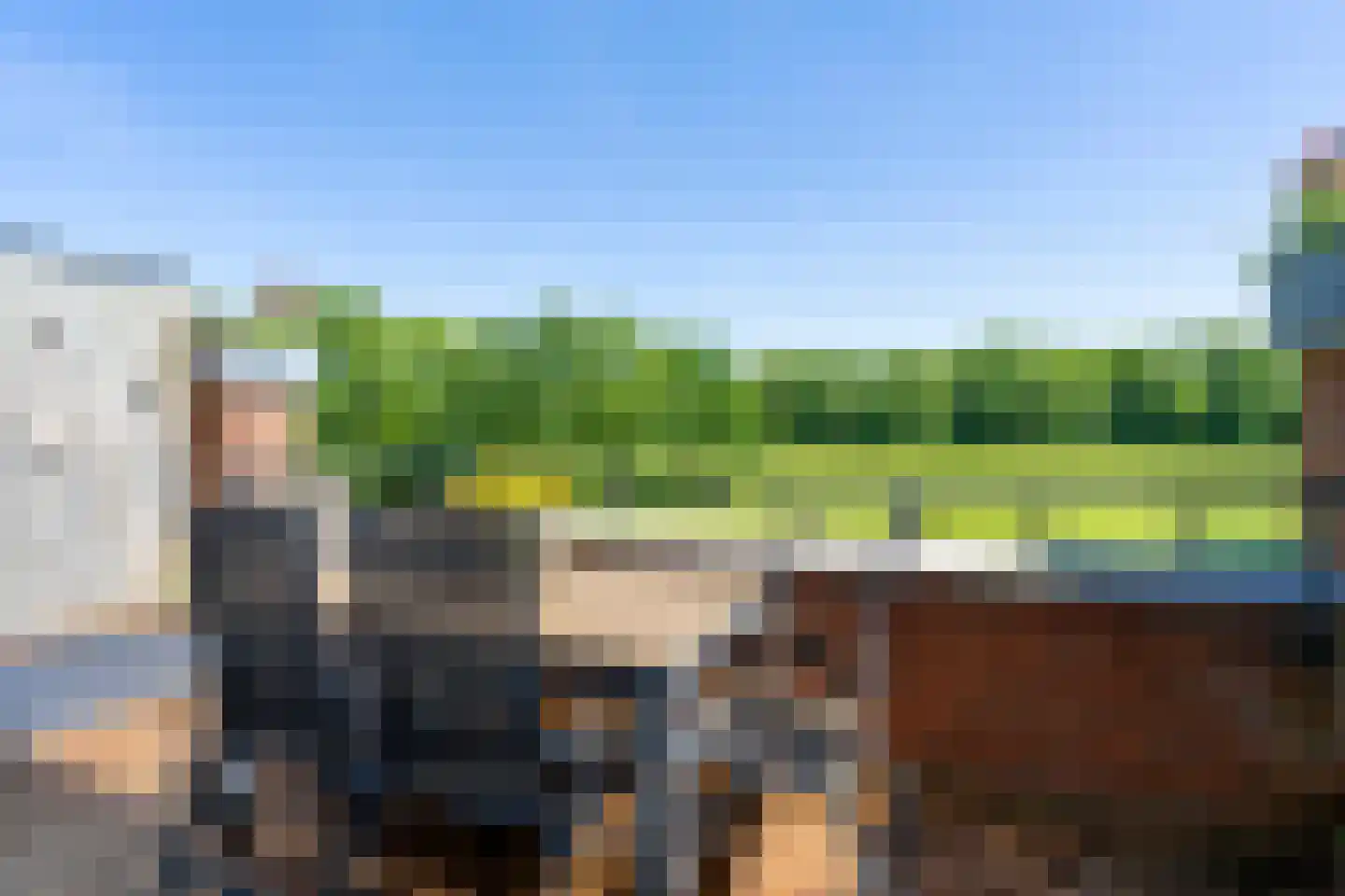 Daliënwaerd 103 's-Hertogenbosch thumbnail 8