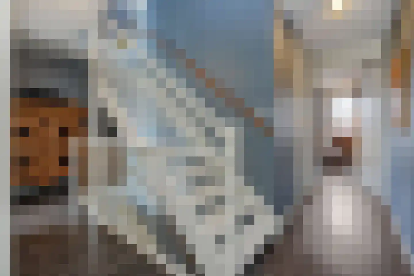 Daliënwaerd 39 's-Hertogenbosch thumbnail 25