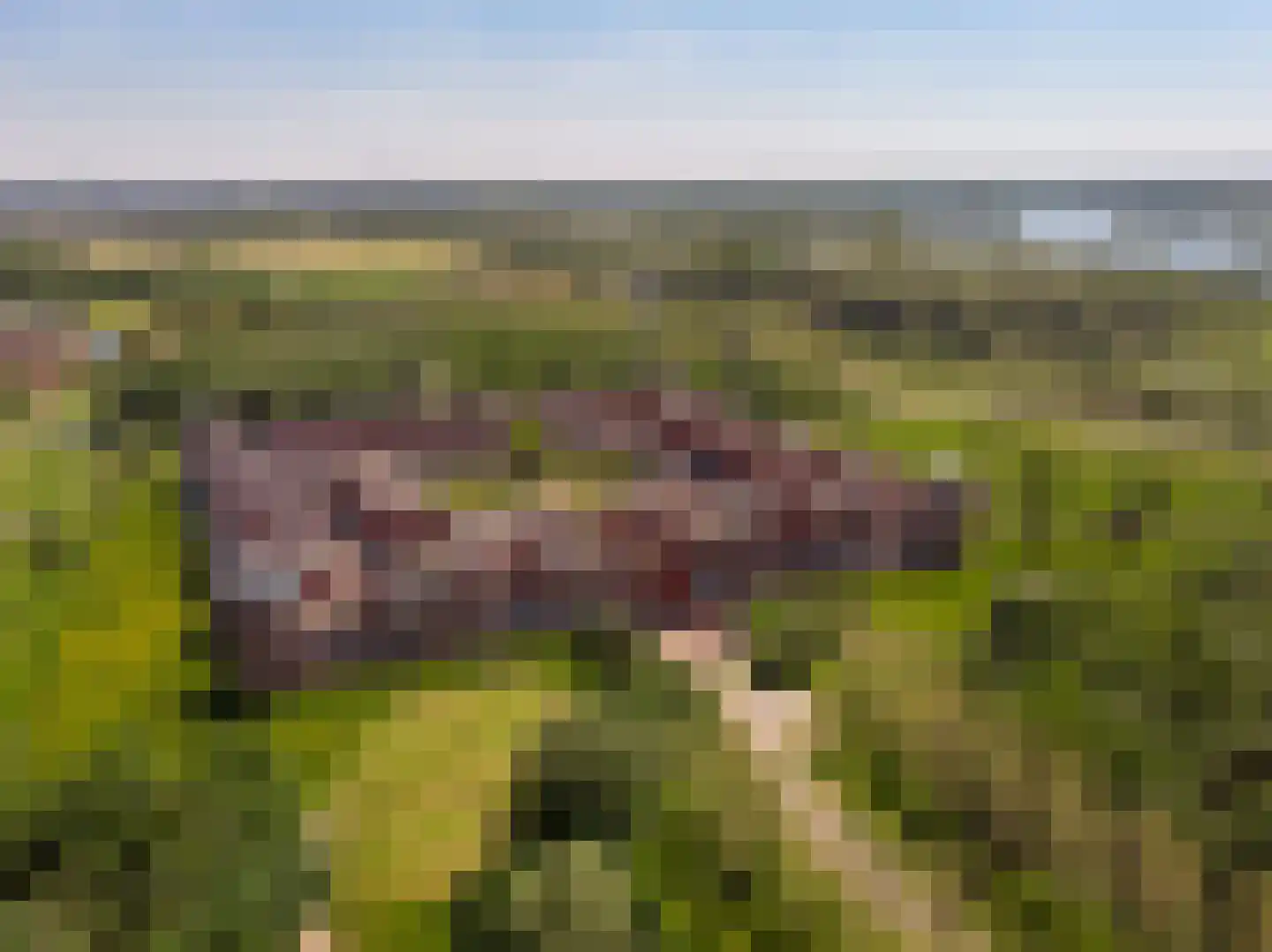 Daliënwaerd 39 's-Hertogenbosch thumbnail 37