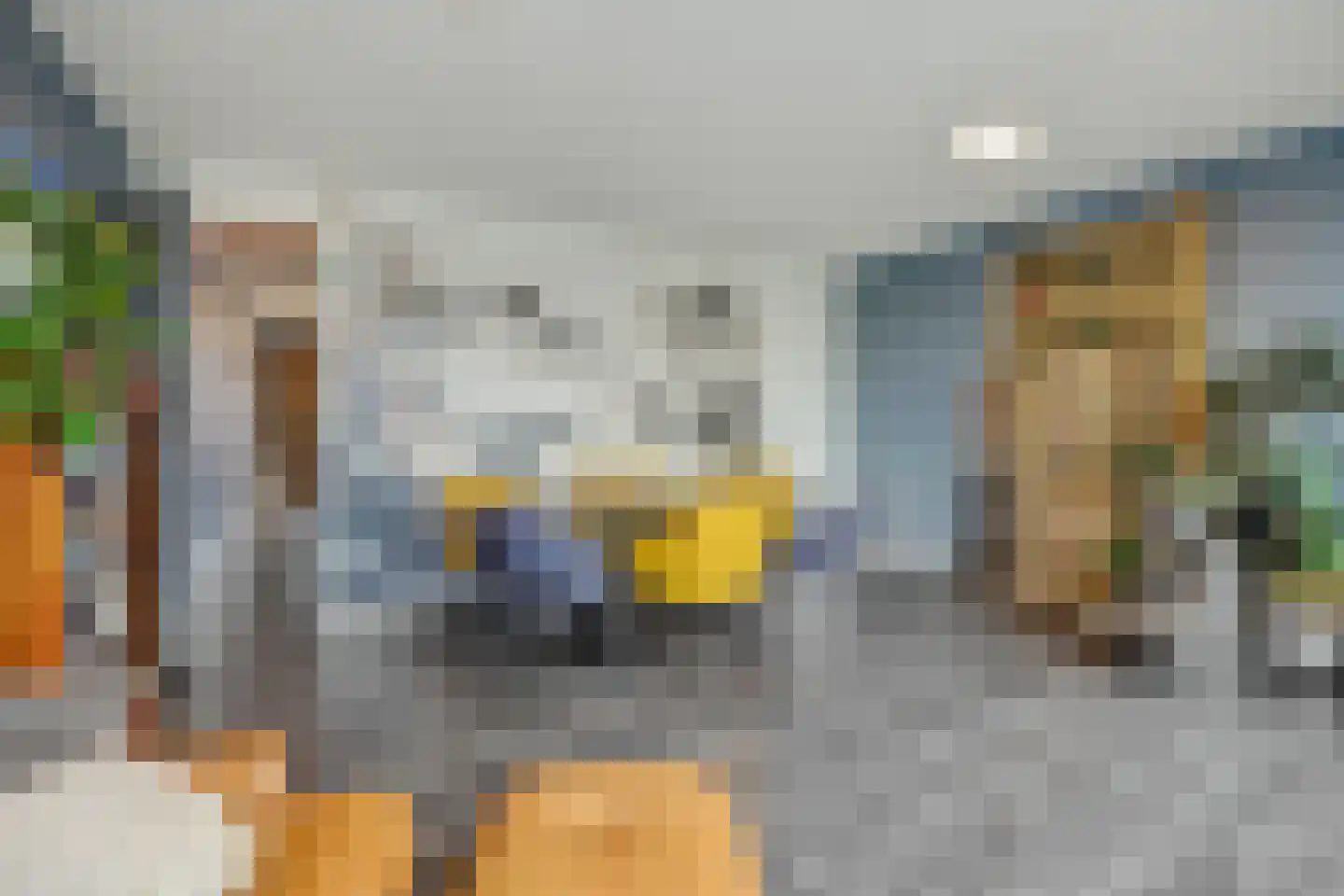 Daliënwaerd 39 's-Hertogenbosch thumbnail 7