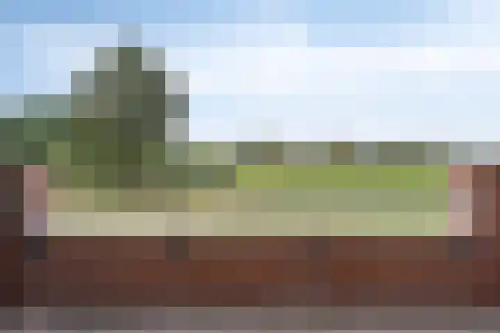 Daliënwaerd 41 's-Hertogenbosch thumbnail 12