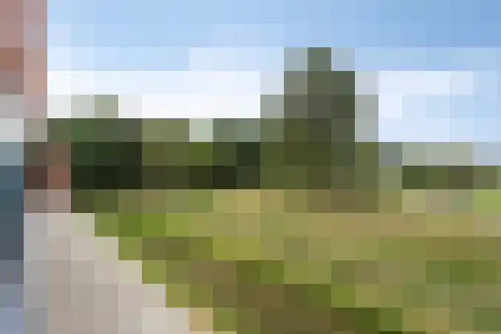 Daliënwaerd 41 's-Hertogenbosch thumbnail 14