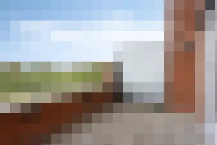Daliënwaerd 41 's-Hertogenbosch thumbnail 15