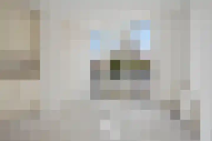 Daliënwaerd 41 's-Hertogenbosch thumbnail 17