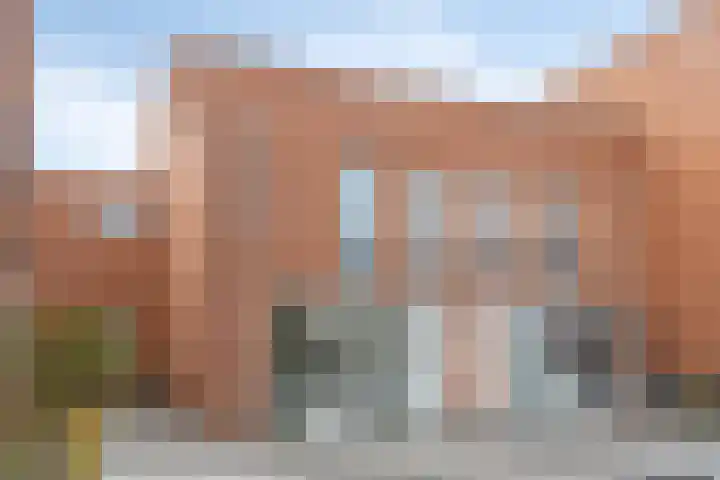 Daliënwaerd 41 's-Hertogenbosch thumbnail 19