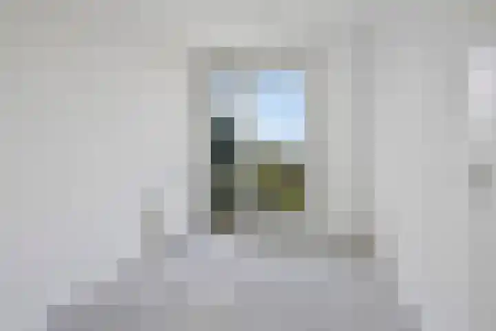 Daliënwaerd 41 's-Hertogenbosch thumbnail 26