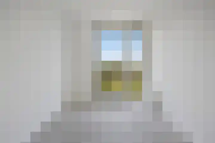 Daliënwaerd 41 's-Hertogenbosch thumbnail 27