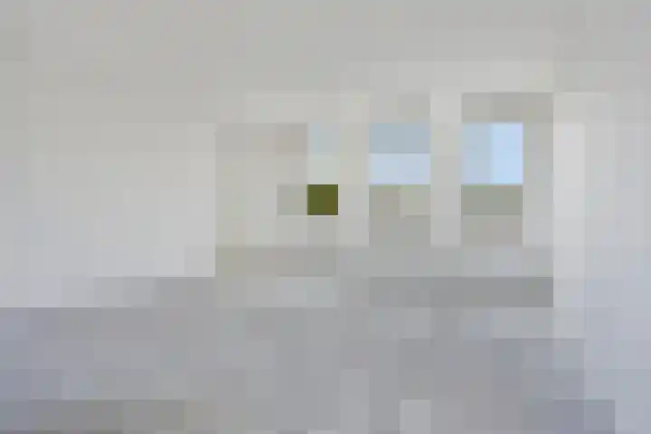Daliënwaerd 41 's-Hertogenbosch thumbnail 29