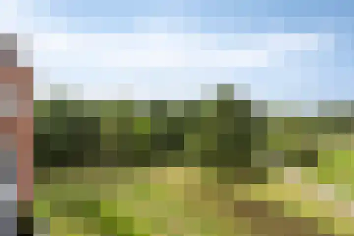 Daliënwaerd 41 's-Hertogenbosch thumbnail 31