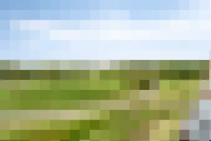 Daliënwaerd 41 's-Hertogenbosch thumbnail 32