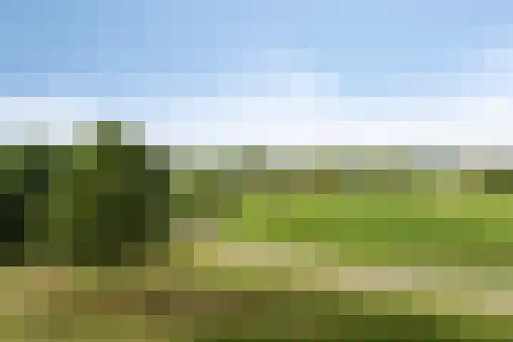 Daliënwaerd 41 's-Hertogenbosch thumbnail 33