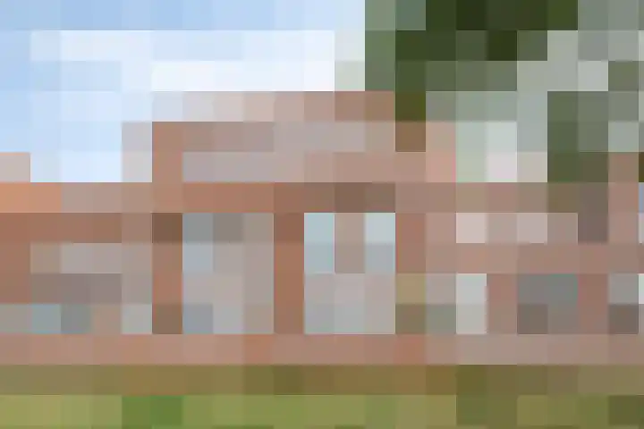 Daliënwaerd 41 's-Hertogenbosch thumbnail 38