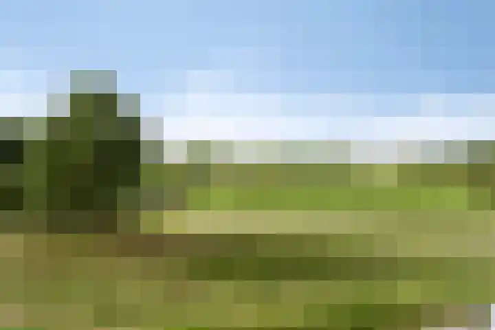 Daliënwaerd 41 's-Hertogenbosch thumbnail 39