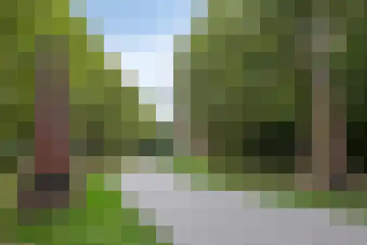 Daliënwaerd 41 's-Hertogenbosch thumbnail 40