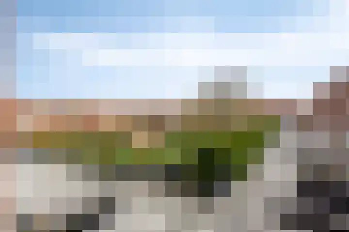 Daliënwaerd 41 's-Hertogenbosch thumbnail 6