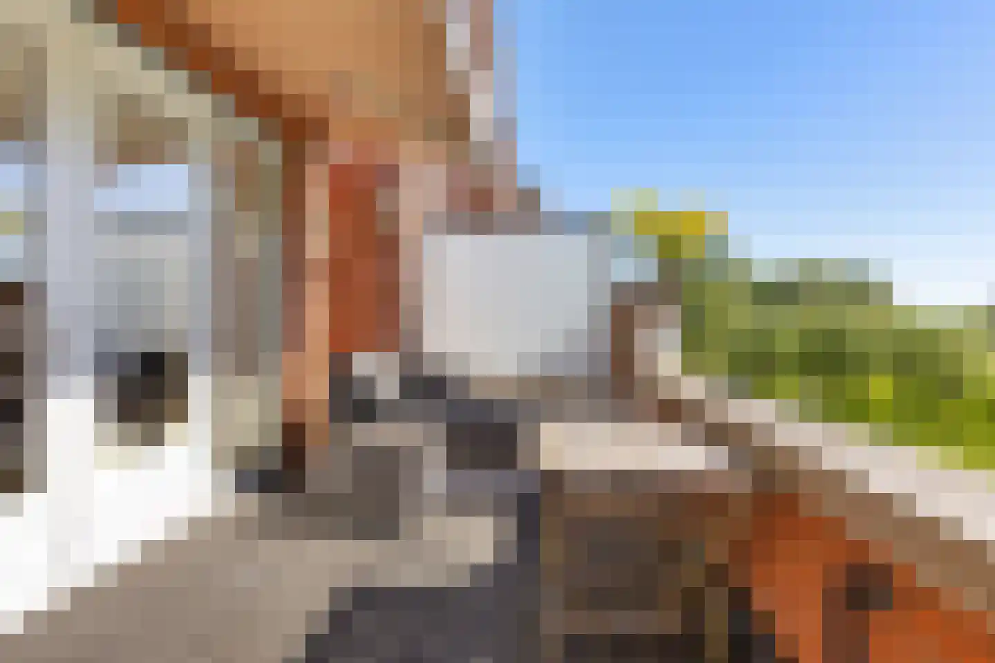 Daliënwaerd 63 's-Hertogenbosch thumbnail 6