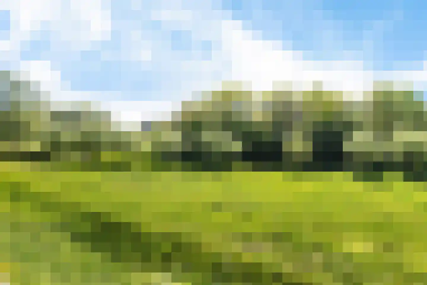 Daliënwaerd 63 's-Hertogenbosch thumbnail 8