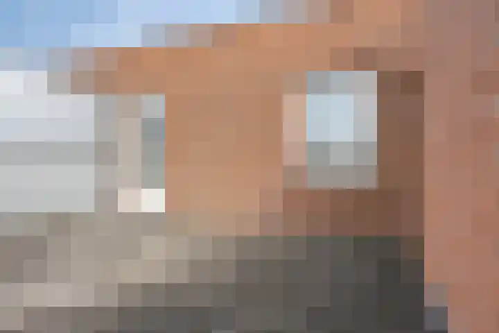 Daliënwaerd 85 's-Hertogenbosch thumbnail 30