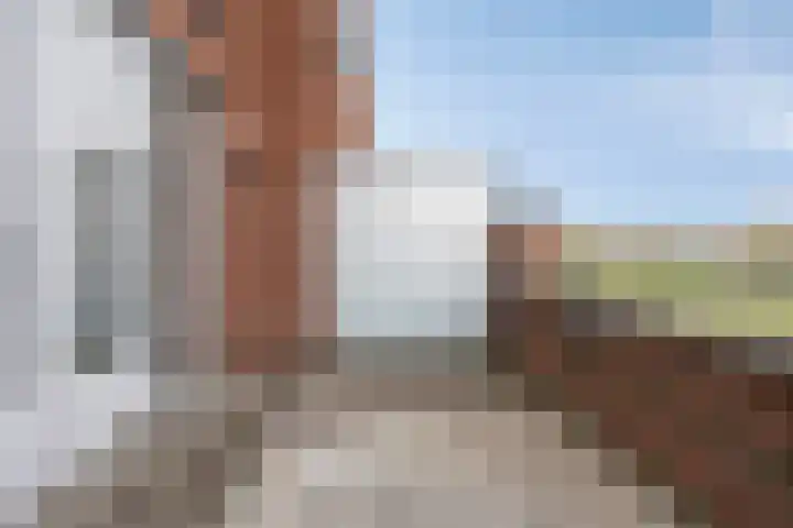 Daliënwaerd 85 's-Hertogenbosch thumbnail 5