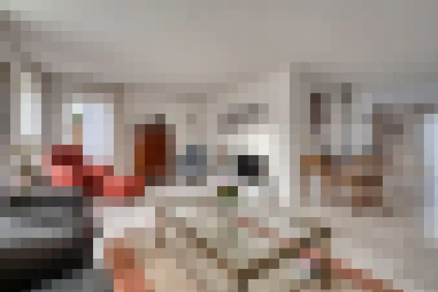 Dalkruid 1 Veenendaal thumbnail 12