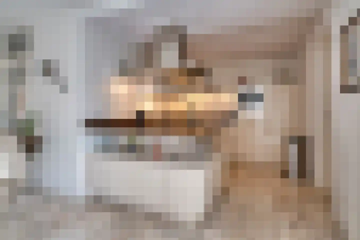 Dalkruid 1 Veenendaal thumbnail 19