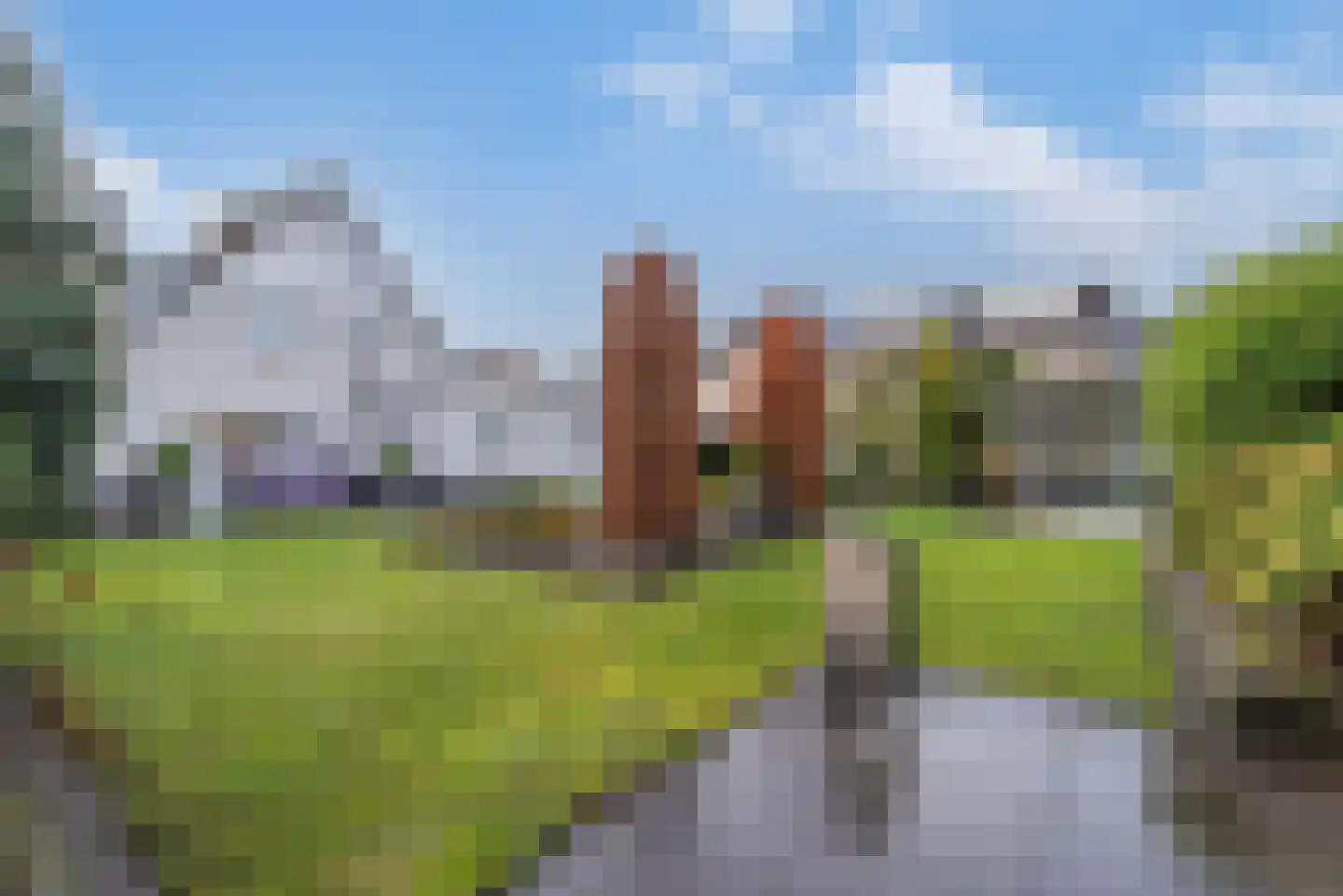 Dalkruid 1 Veenendaal foto 2