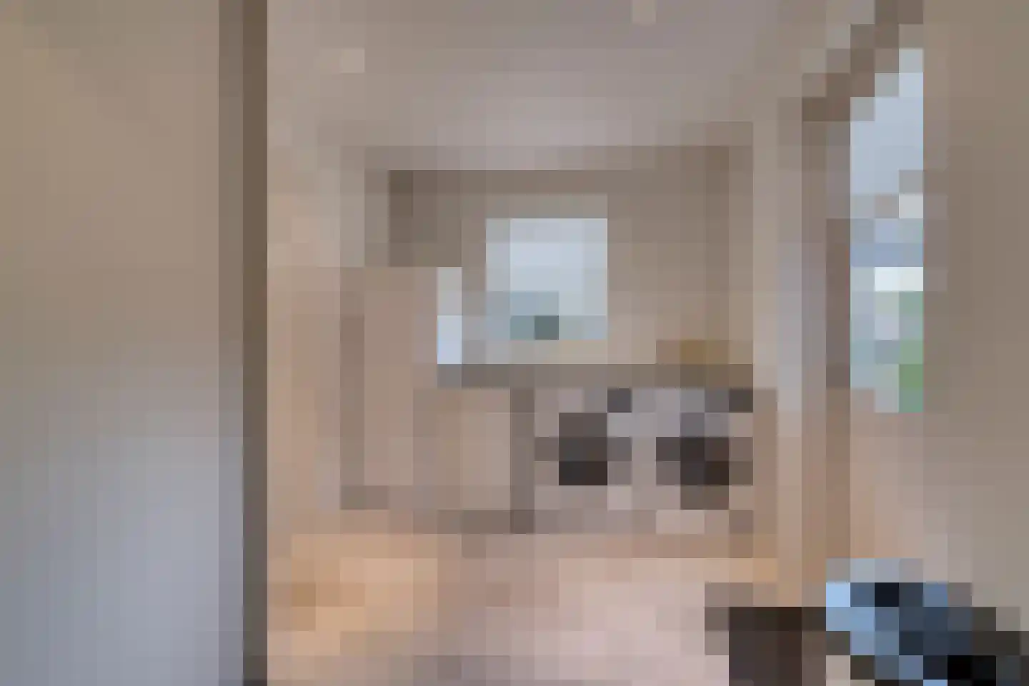Dalkruid 1 Veenendaal thumbnail 22