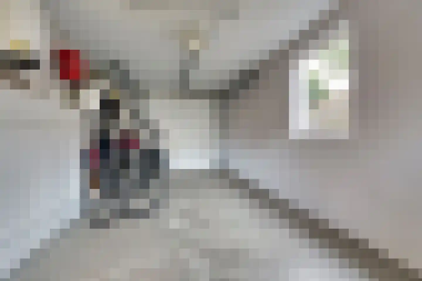 Dalkruid 1 Veenendaal thumbnail 25