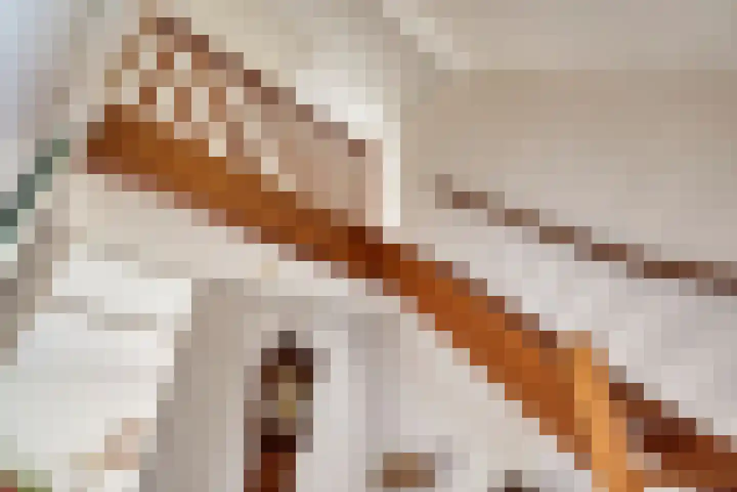 Dalkruid 1 Veenendaal thumbnail 26