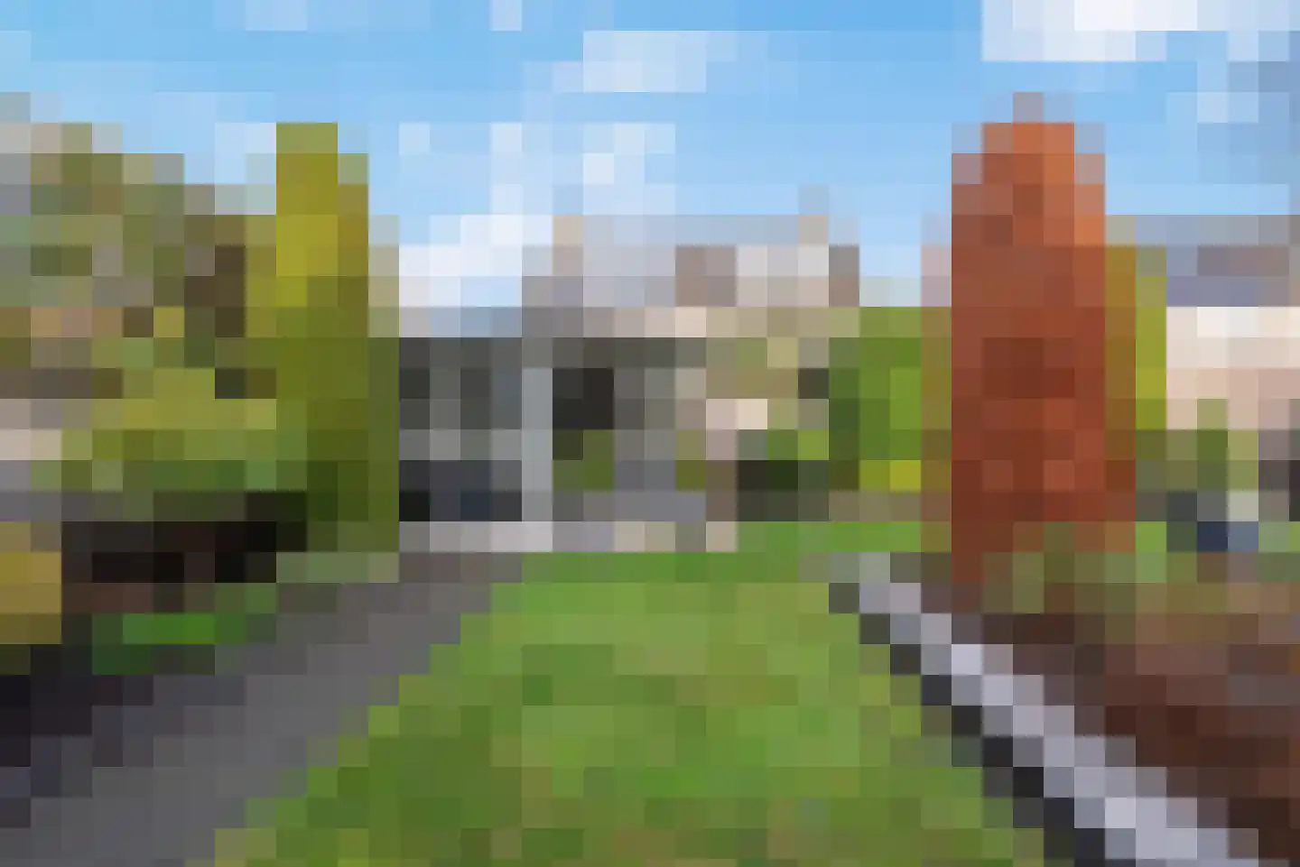 Dalkruid 1 Veenendaal thumbnail 44