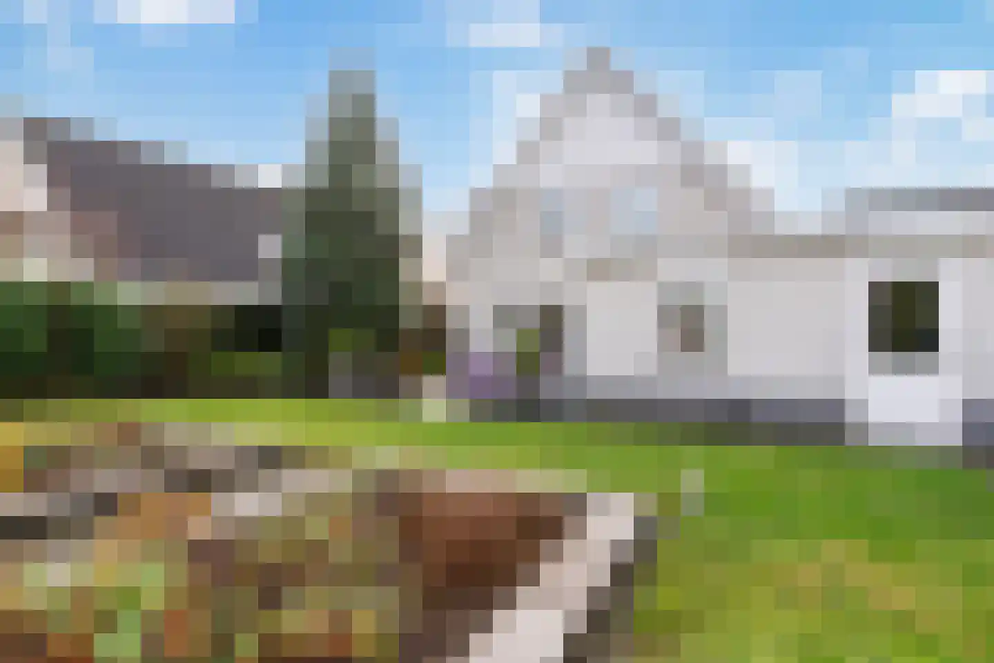 Dalkruid 1 Veenendaal thumbnail 47