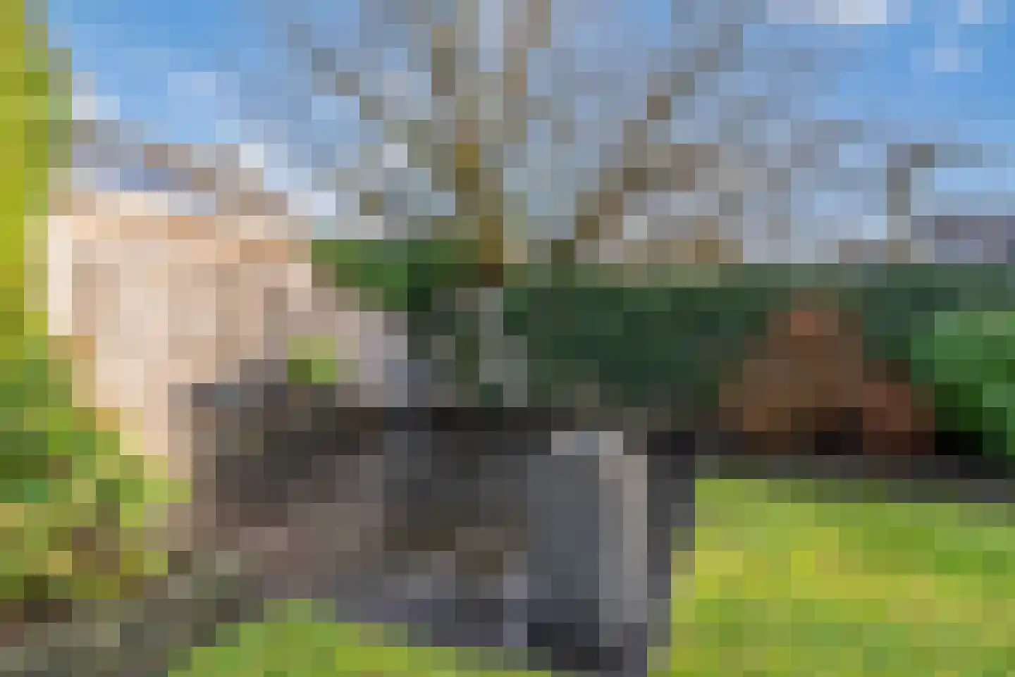 Dalkruid 1 Veenendaal thumbnail 49