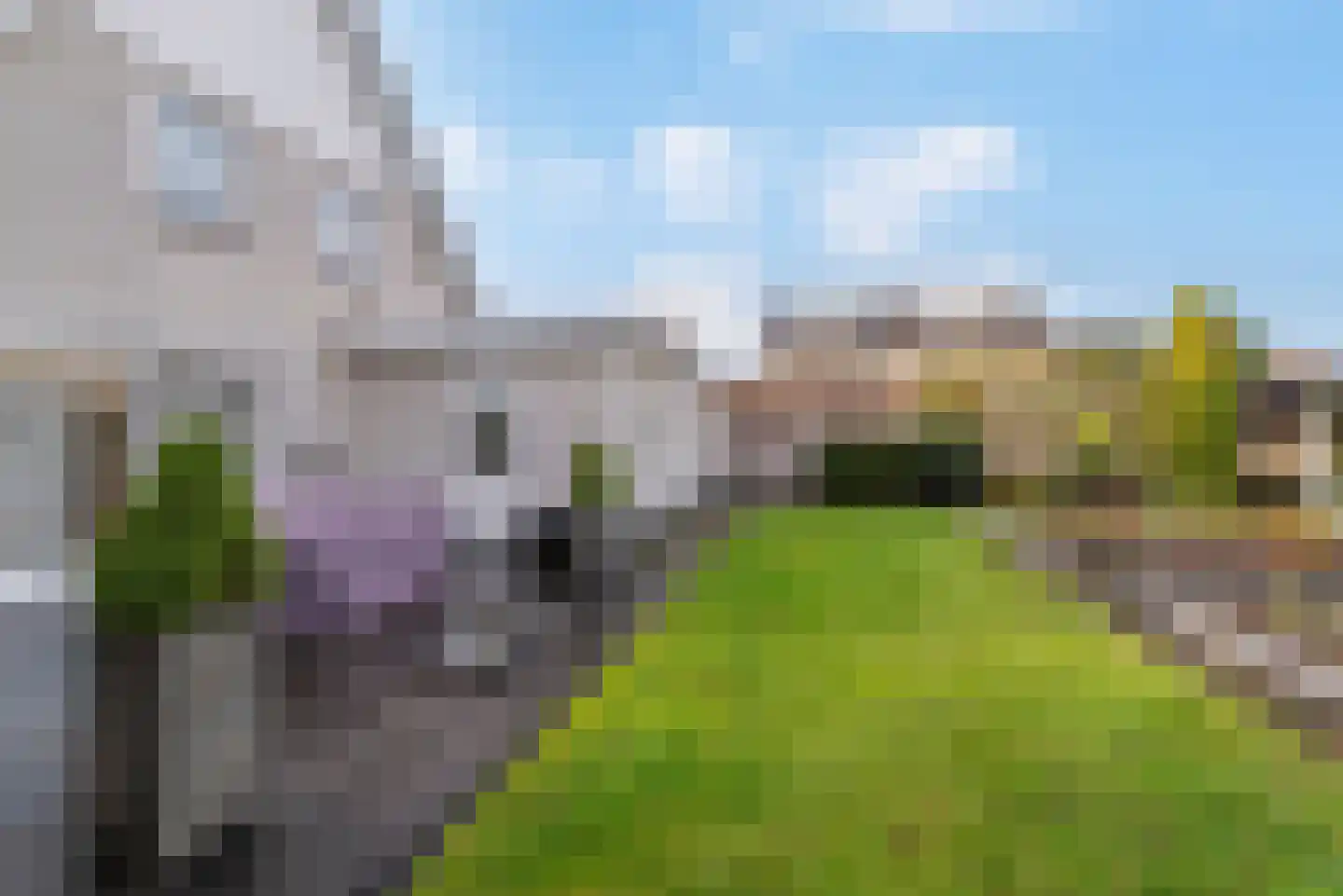 Dalkruid 1 Veenendaal thumbnail 51