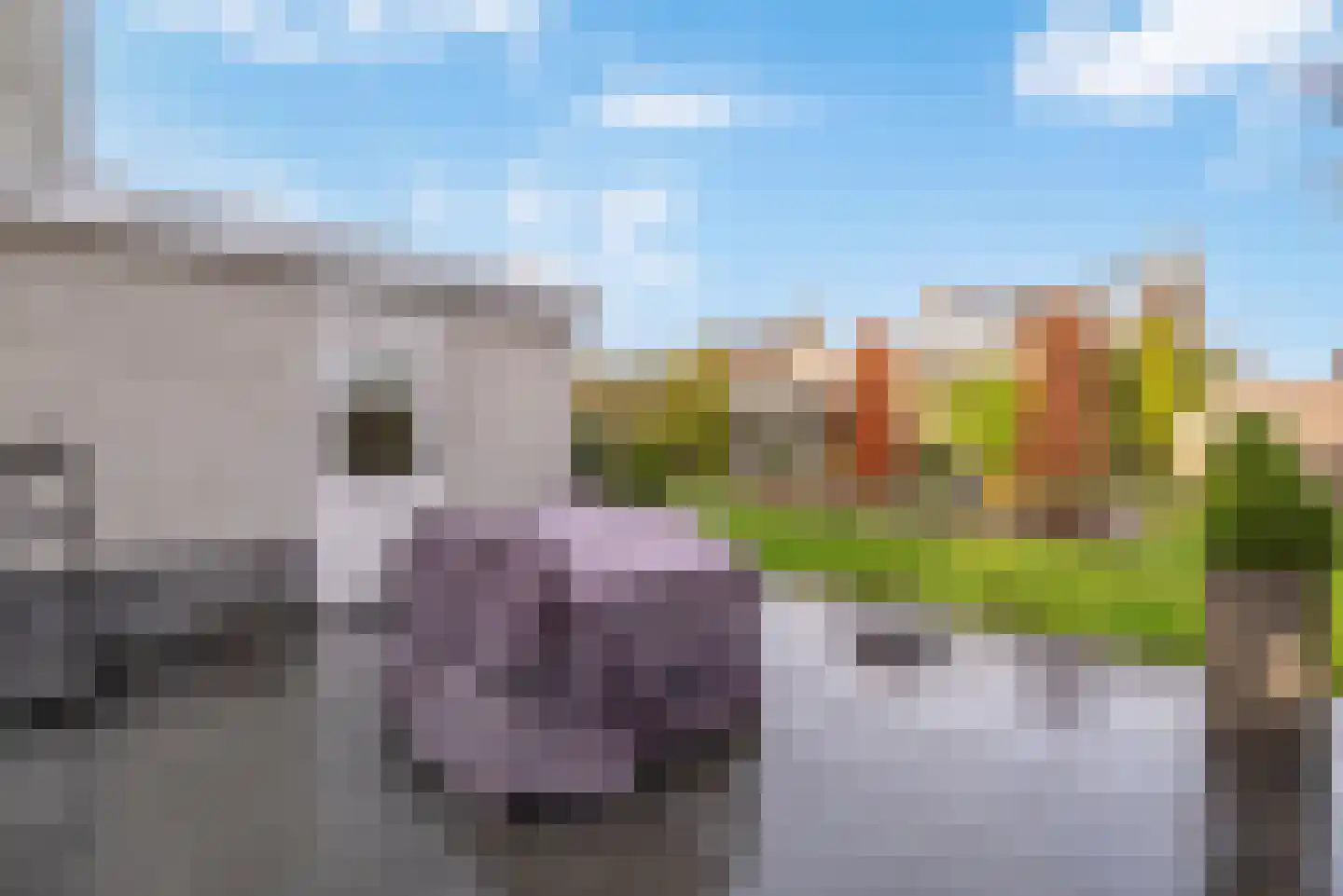 Dalkruid 1 Veenendaal thumbnail 52