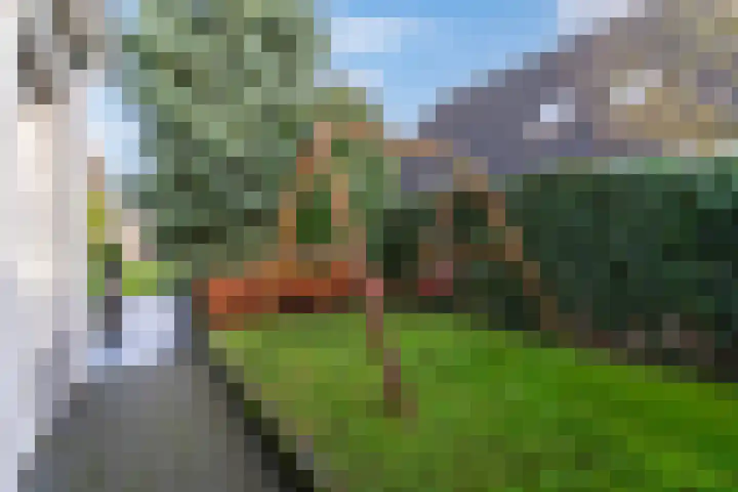 Dalkruid 1 Veenendaal thumbnail 53