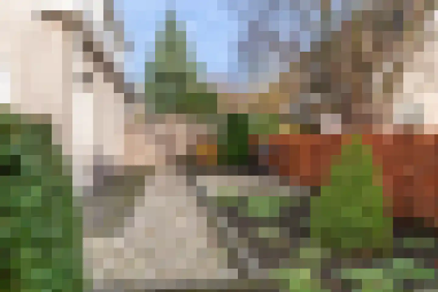 Dalkruid 1 Veenendaal thumbnail 54