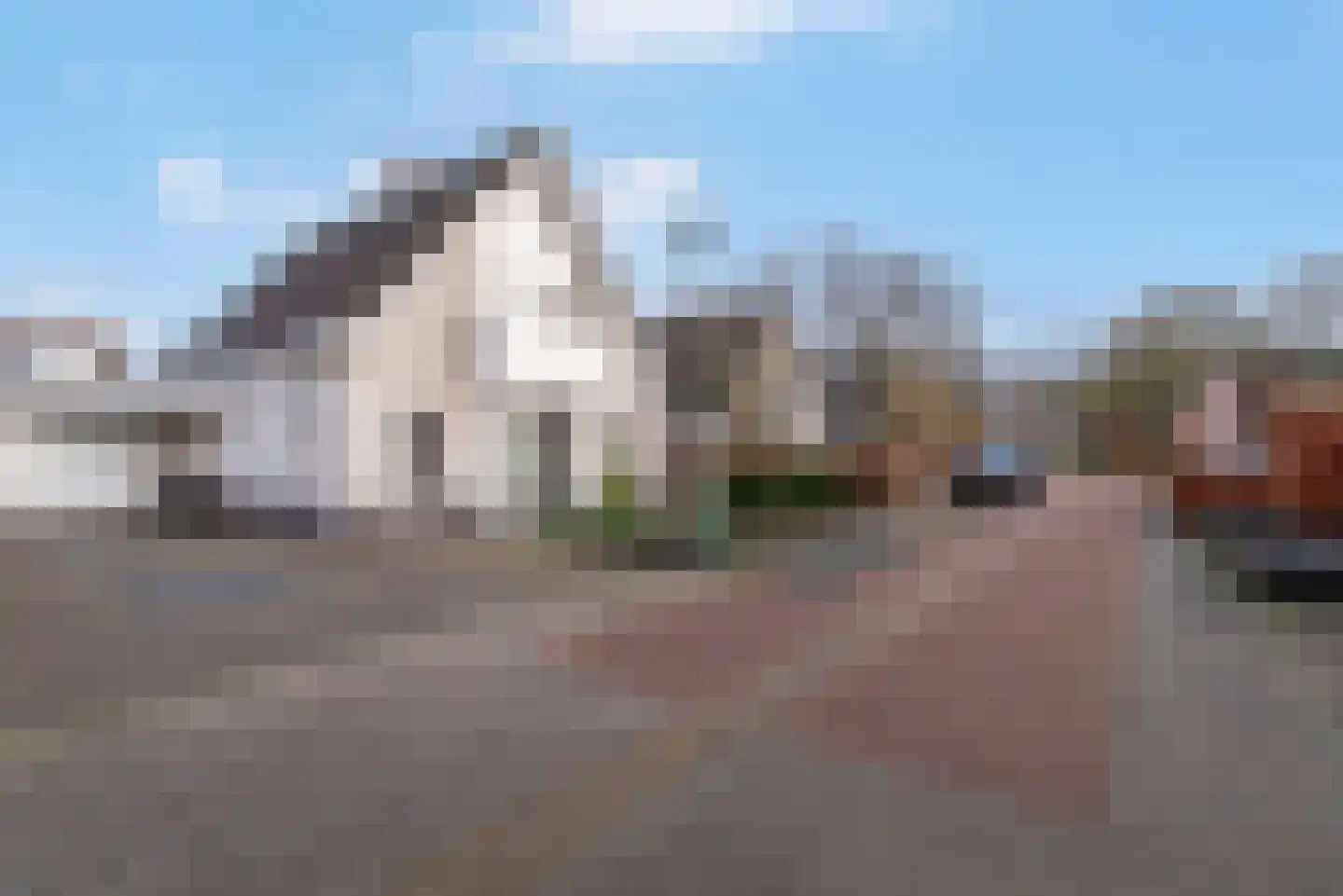 Dalkruid 1 Veenendaal thumbnail 55