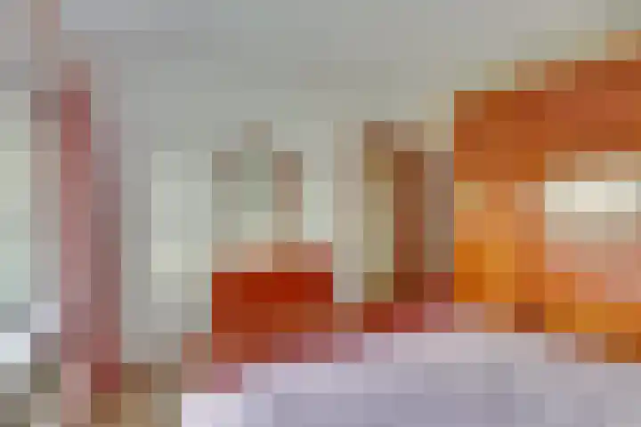 Dalkruid 14 Nijverdal thumbnail 23