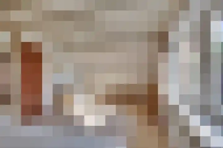 Dalkruid 14 Nijverdal thumbnail 32