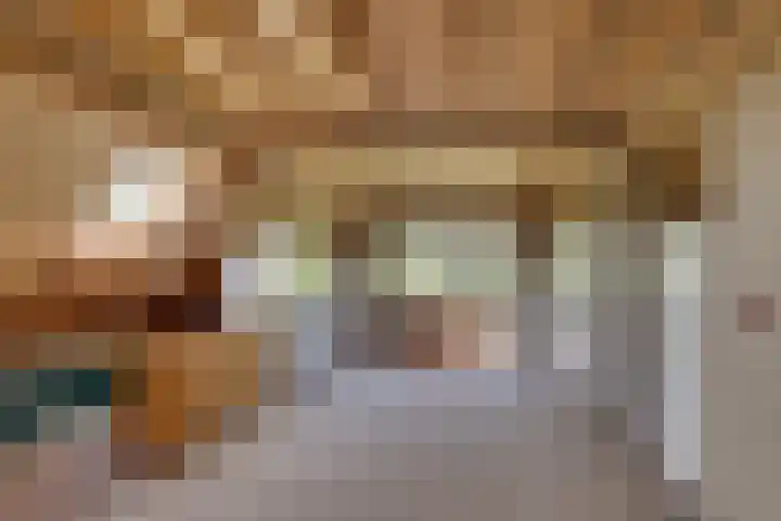 Dalkruid 14 Nijverdal thumbnail 33