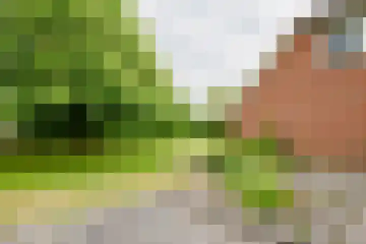 Dalkruid 14 Nijverdal thumbnail 36