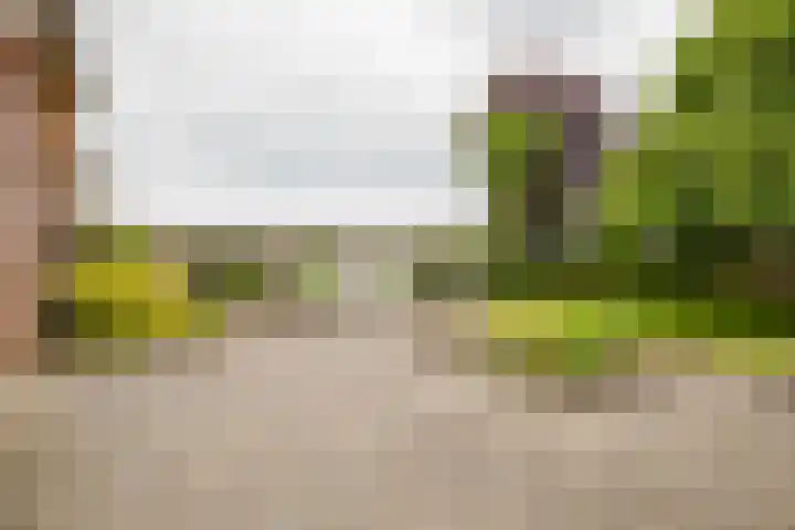 Dalkruid 14 Nijverdal thumbnail 37