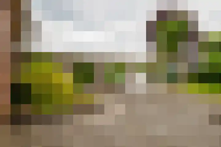 Dalkruid 14 Nijverdal thumbnail 38