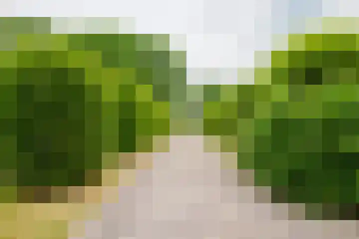 Dalkruid 14 Nijverdal thumbnail 4