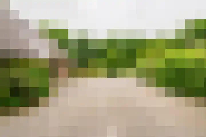 Dalkruid 14 Nijverdal thumbnail 40