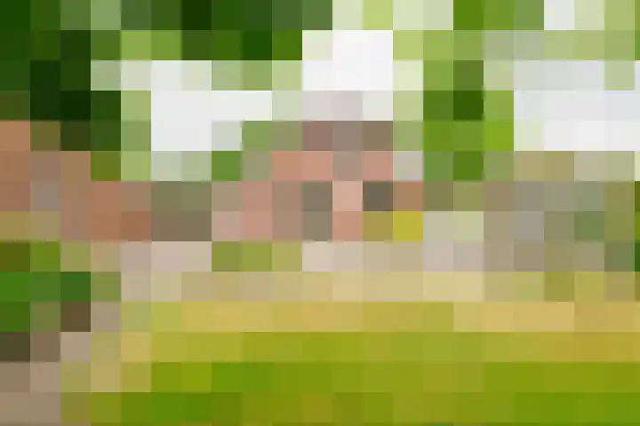 Dalkruid 14 Nijverdal thumbnail 41