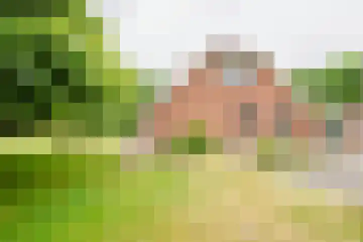Dalkruid 14 Nijverdal thumbnail 42