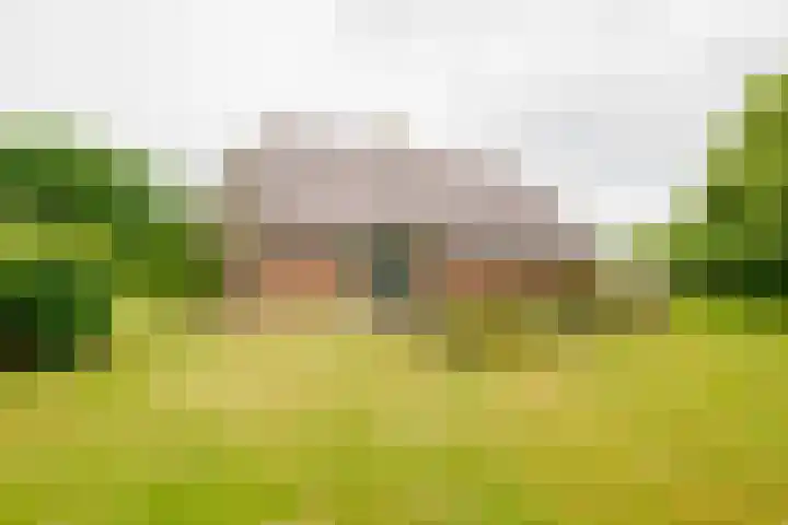 Dalkruid 14 Nijverdal thumbnail 43
