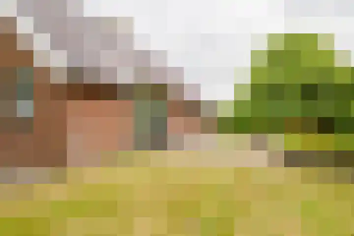 Dalkruid 14 Nijverdal thumbnail 44